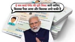 क्या ₹1000 की Payment आई? – जानें Mobile से तुरंत eShram Card Status, बैंक जाने की जरूरत नहीं!