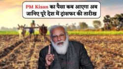 PM Kisan की 20वीं किस्त से पहले 28 जुलाई तक ऐसे चेक करें अपना स्टेटस!